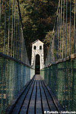 Yoga Brücke