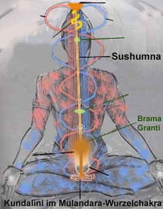 Kundalini Energie Schaubild